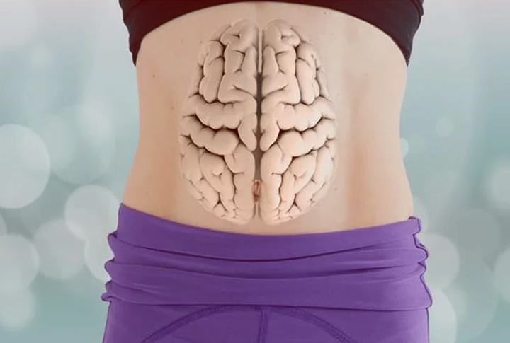 A bélidegrendszer – a test titkos agya