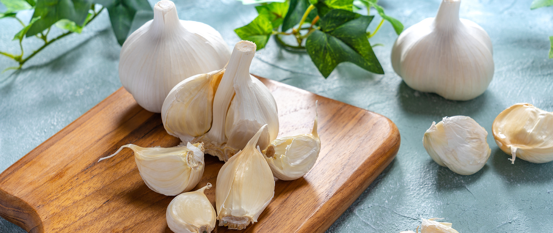 Fokhagyma: természetes antibiotikum vagy csak mítosz?