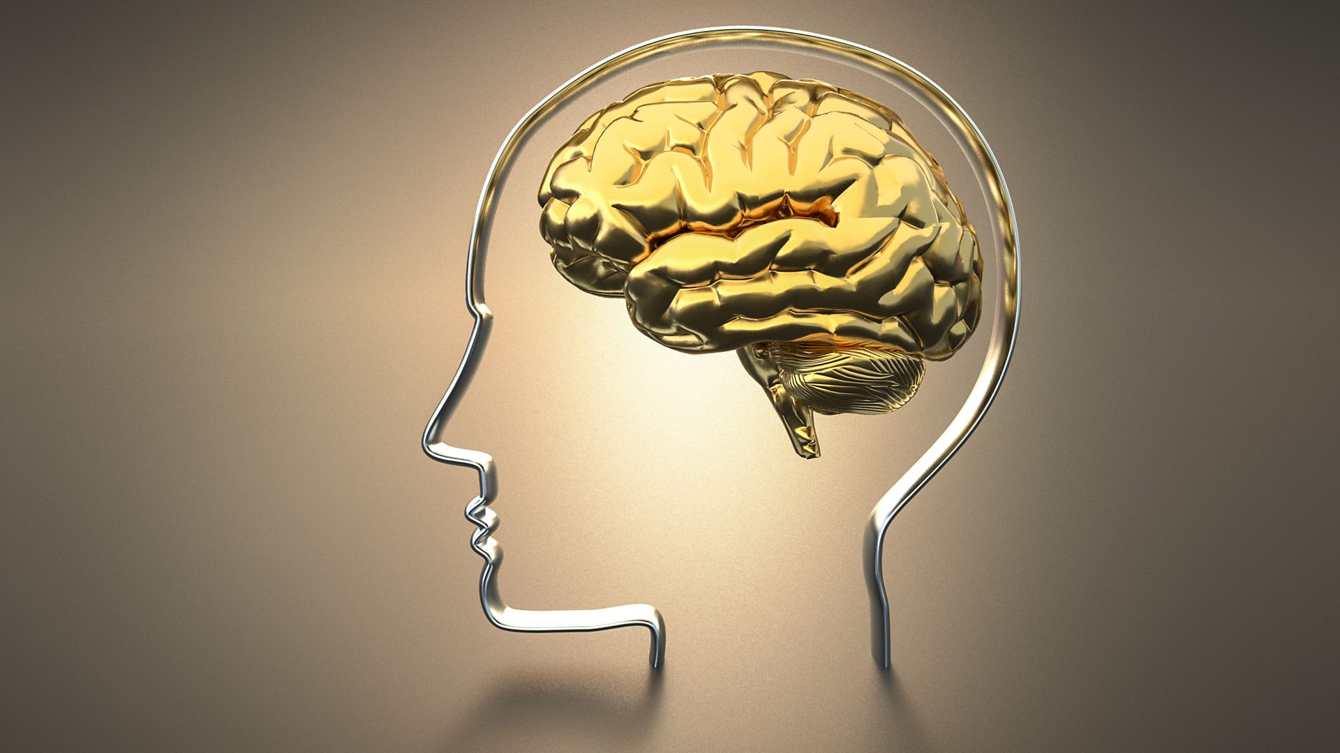 6 érdekes tény az emberi agyról