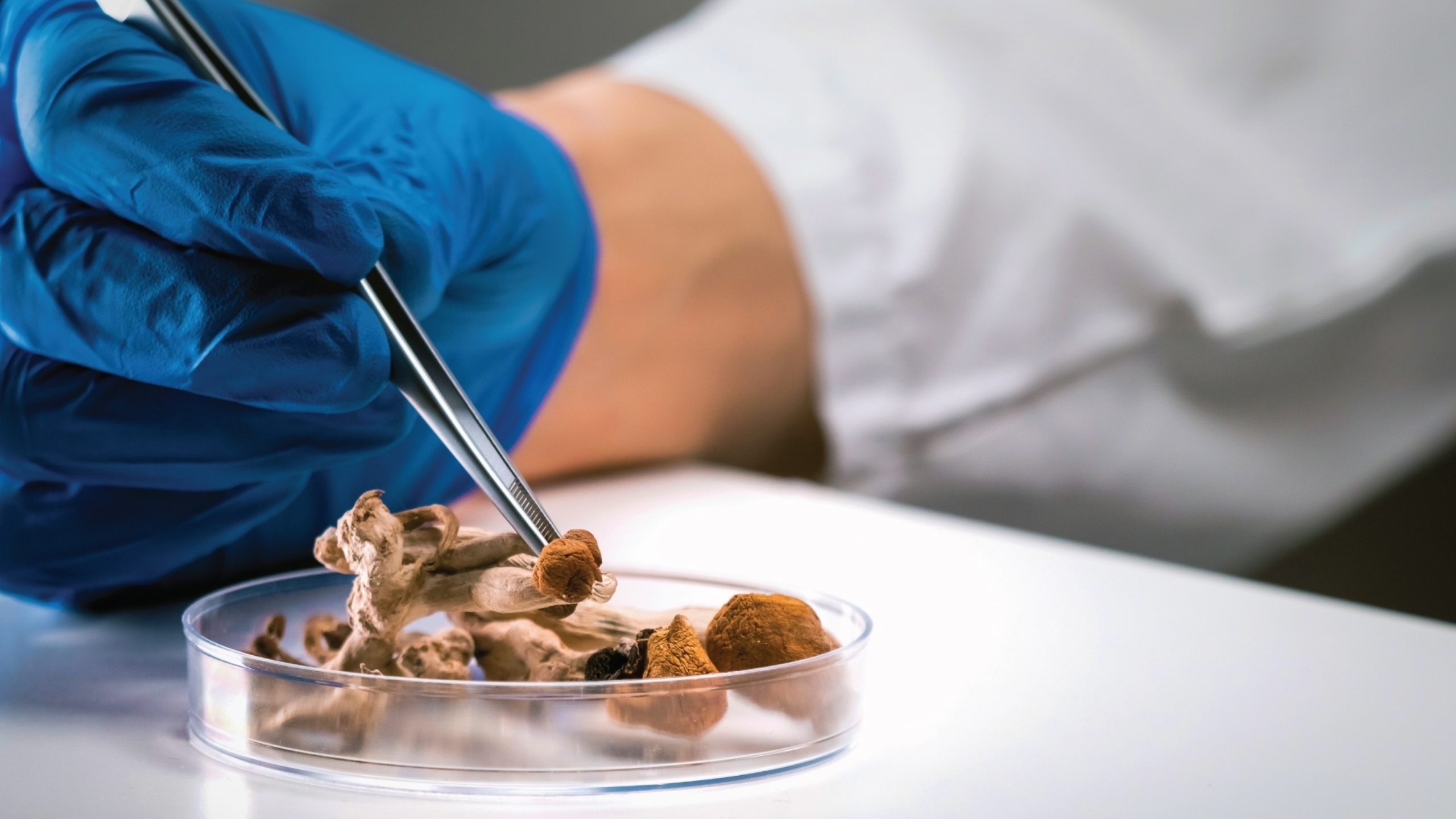 A pszichedelikus szerek „átprogramozhatják” az agyat – új remény a depresszió kezelésében