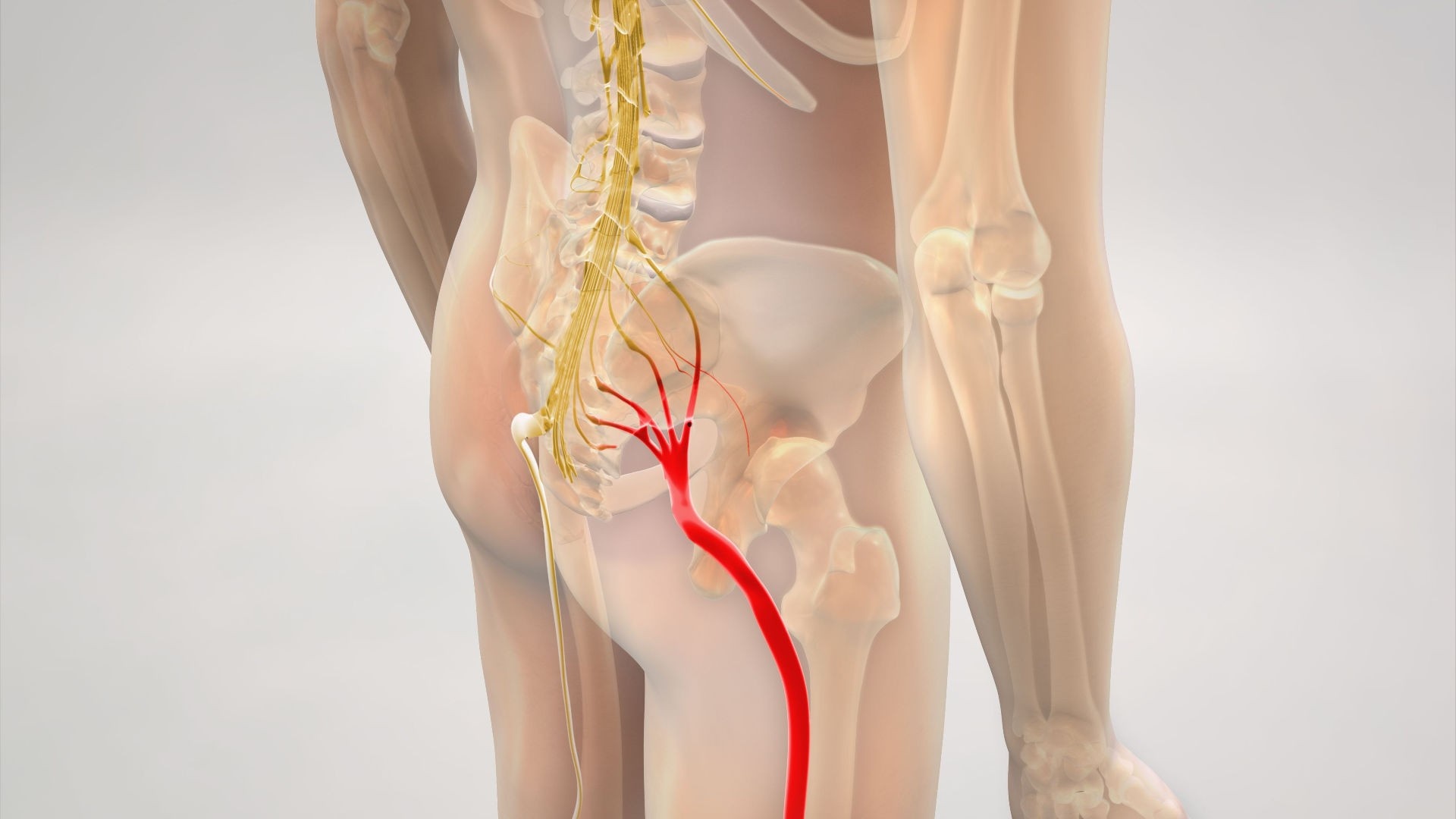 Isiász ellen a természet erejével – gyógynövények, amelyek segíthetnek