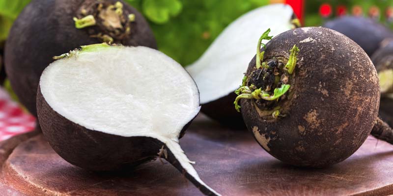 A fekete retek epekőre és pajzsmirigyre is hatásos