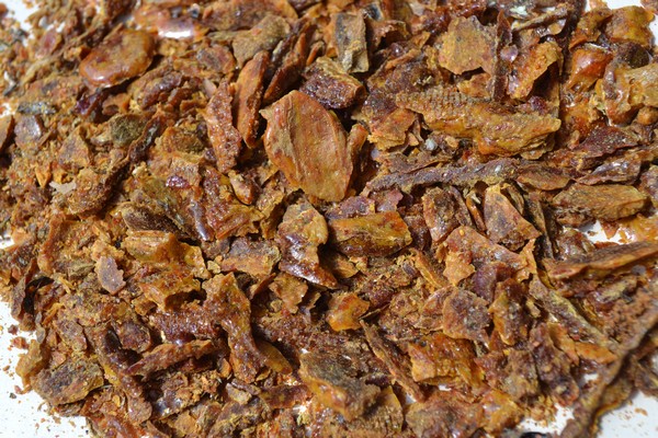 A szorgos méhek gyűjtik az egyik legjobb természetes antibiotikumot, mely számos betegségre jó