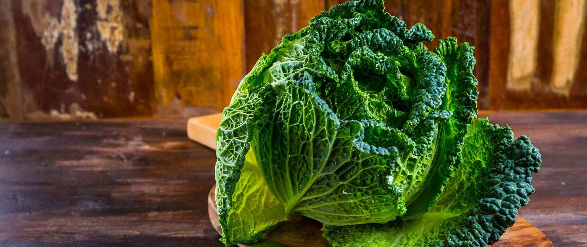 friss kelkáposzta a pulton