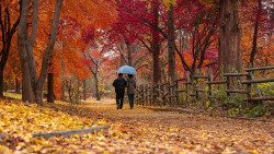 Hogyan hat az agyra a természetben töltött idő?