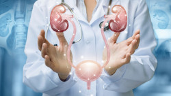 Visszatérő hólyaghurut nőknél: mikor kell urológushoz menni az antibiotikum helyett?