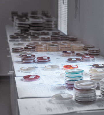 Spektrum Lab galéria kép