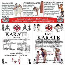 Kyokushin Kaizen Karate
