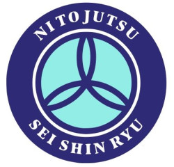 NI To JUTSU SEI SHIN RYU