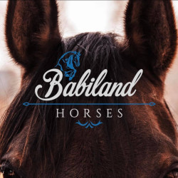 Babiland Horses