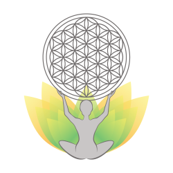 Élet Virága Jógastúdió