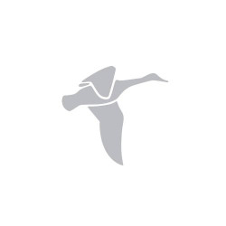 Fitness’M Wellness Club