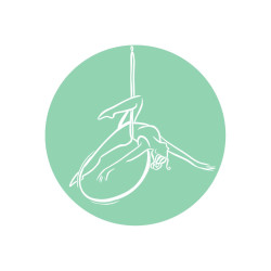 Levitate Aerial Studio