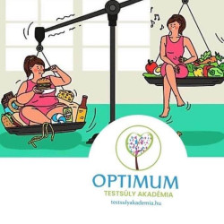 Optimum Helth Institute