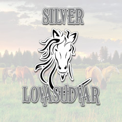 Silver Lovas Egyesület