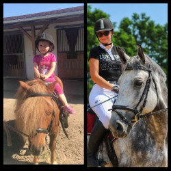 Guido Lovaspark és Rendezvényház