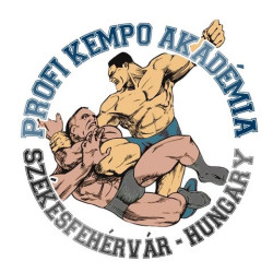 Profi Kempo Akadémia Sportegyesület