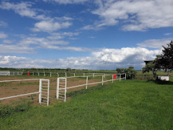 Lovas tanya - Szolnok, Tenyősziget