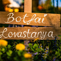 Botfai Lovastanya