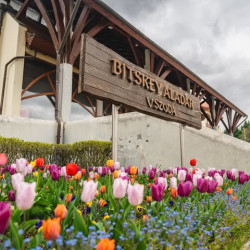 Bitskey Aladár Uszoda