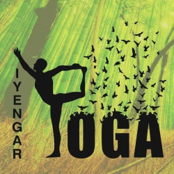 FREEDOM Jógastúdió