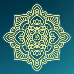 Vivéka Jóga Stúdió