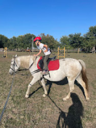 Babérliget Lovasklub