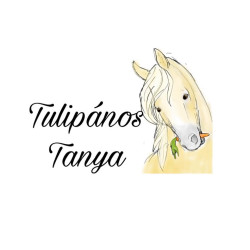 Tulipános Hobby LovasTanya