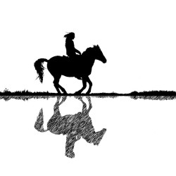 Kapcsolat Alapú Lóhozállás - Ruszkai Krisztina