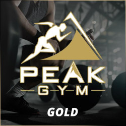 Peak Gym gold