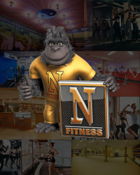 Nemes Fitness