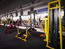 Alex Body & Fitness Gym Női és Férfi Konditerem