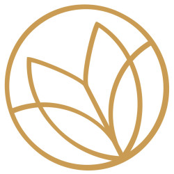 Jóga Művészet Szeretet