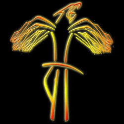 Főnix Dance Kiskunfélegyháza Tánc és Sport stúdió