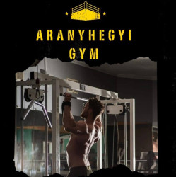 Aranyhegyi Gym