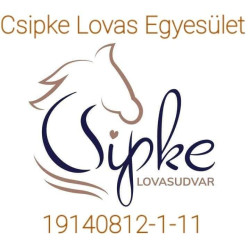 Csipke Lovasudvar