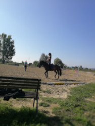 Hunkadombi Lovasklub Sportegyesület