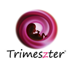 Trimeszter