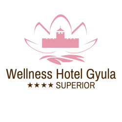 Wellness Hotel Gyula