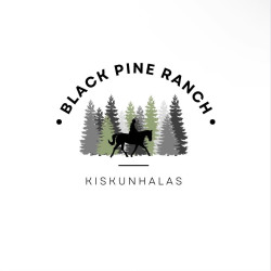 Feketefenyő Lovastanya