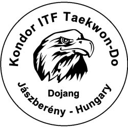 Kondor Taekwon-Do SE