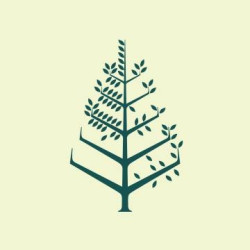 Four Seasons Hotel Gresham Palace Budapest