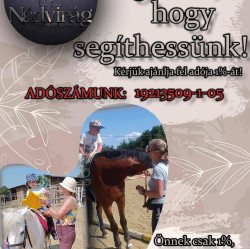Nádvirág Terápiás és Lovassport Egyesület