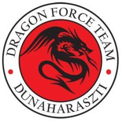 Dragon Force Team