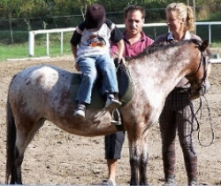 Mustang Lovasclub Dunaharaszti