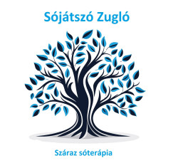 Pinokkió Sójátszó Zugló