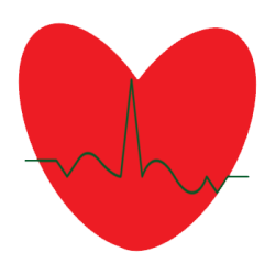 Dr. Füsi Gabriella - Kardiológiai és Belgyógyászati Szakrendelés