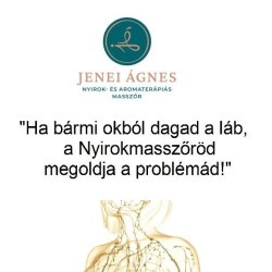 Jenei Ágnes