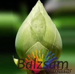 Balzsam Masszázs