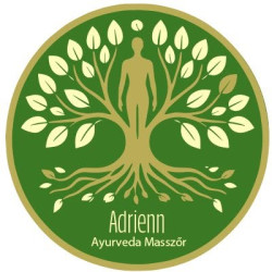 Ayurvéda Masszázs Terapeuta Orfű